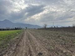 Dereli E5 Yolu Altı Satlık Tarla Vasıflı Taşınmaz  